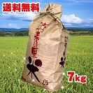 �y���������z�y�f�̗��ā@�O�d���YH23�N�V�Ă����Ђ���7kg�@�������_�@�@��������