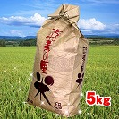 �y�f�̗��ā@�O�d���Y�V��H23�N�����Ђ���@5kg�@�������_�@�@��������